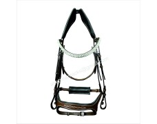 Leather Bridle